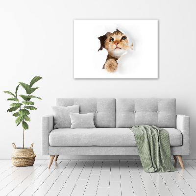 Tableau mural sur toile Chat dans un trou