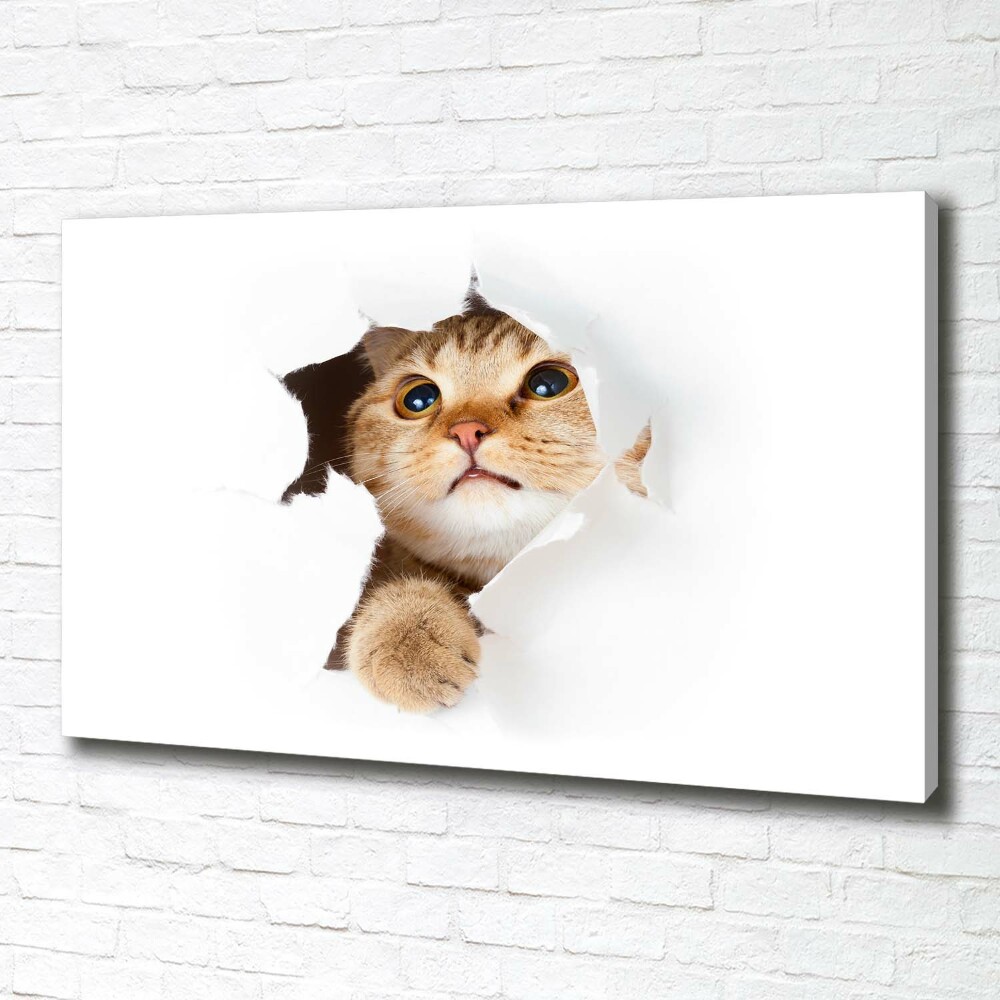 Tableau mural sur toile Chat dans un trou