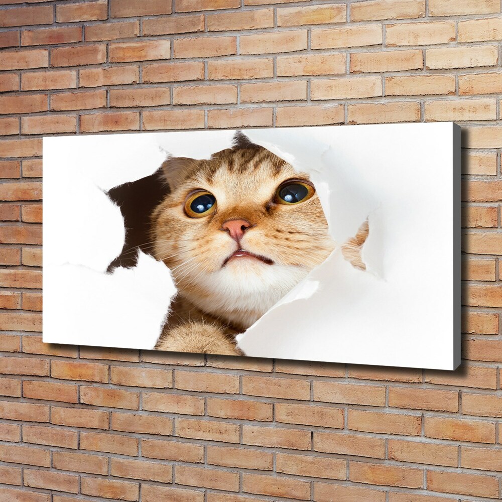 Tableau mural sur toile Chat dans un trou