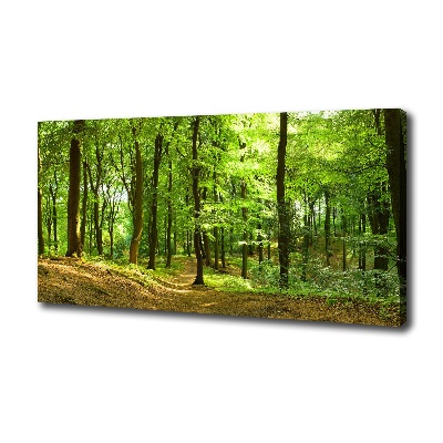 Tableau sur toile Sentier forestier