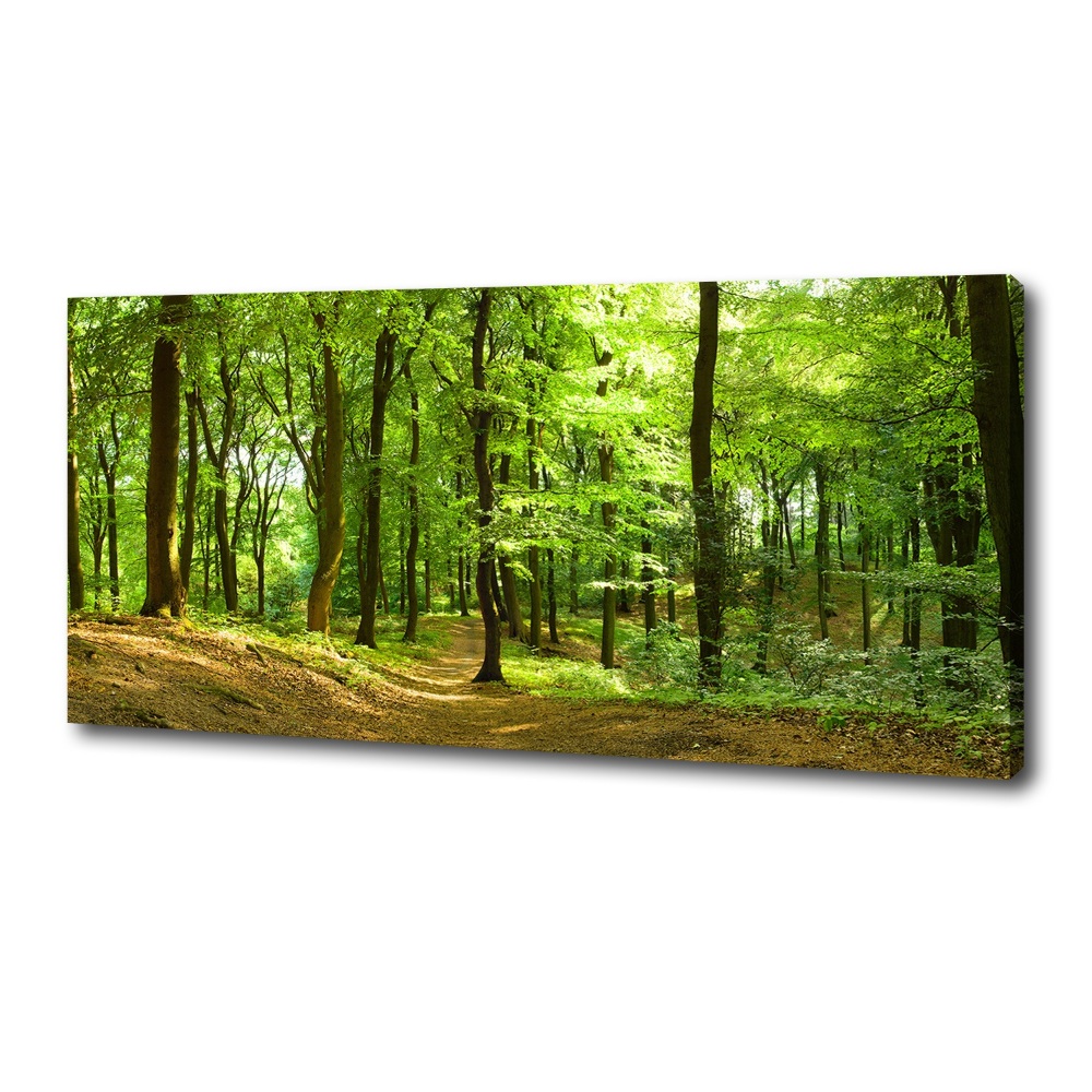 Tableau sur toile Sentier forestier