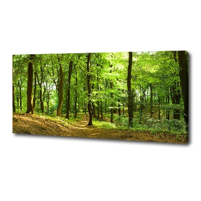 Tableau sur toile Sentier forestier