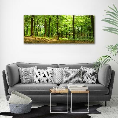 Tableau sur toile Sentier forestier