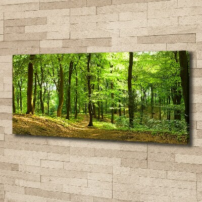 Tableau sur toile Sentier forestier