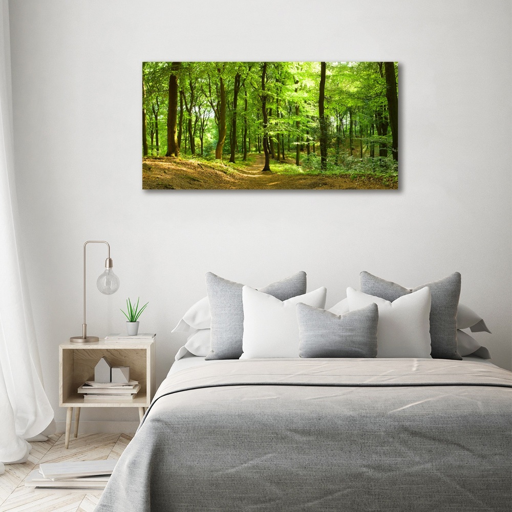 Tableau sur toile Sentier forestier