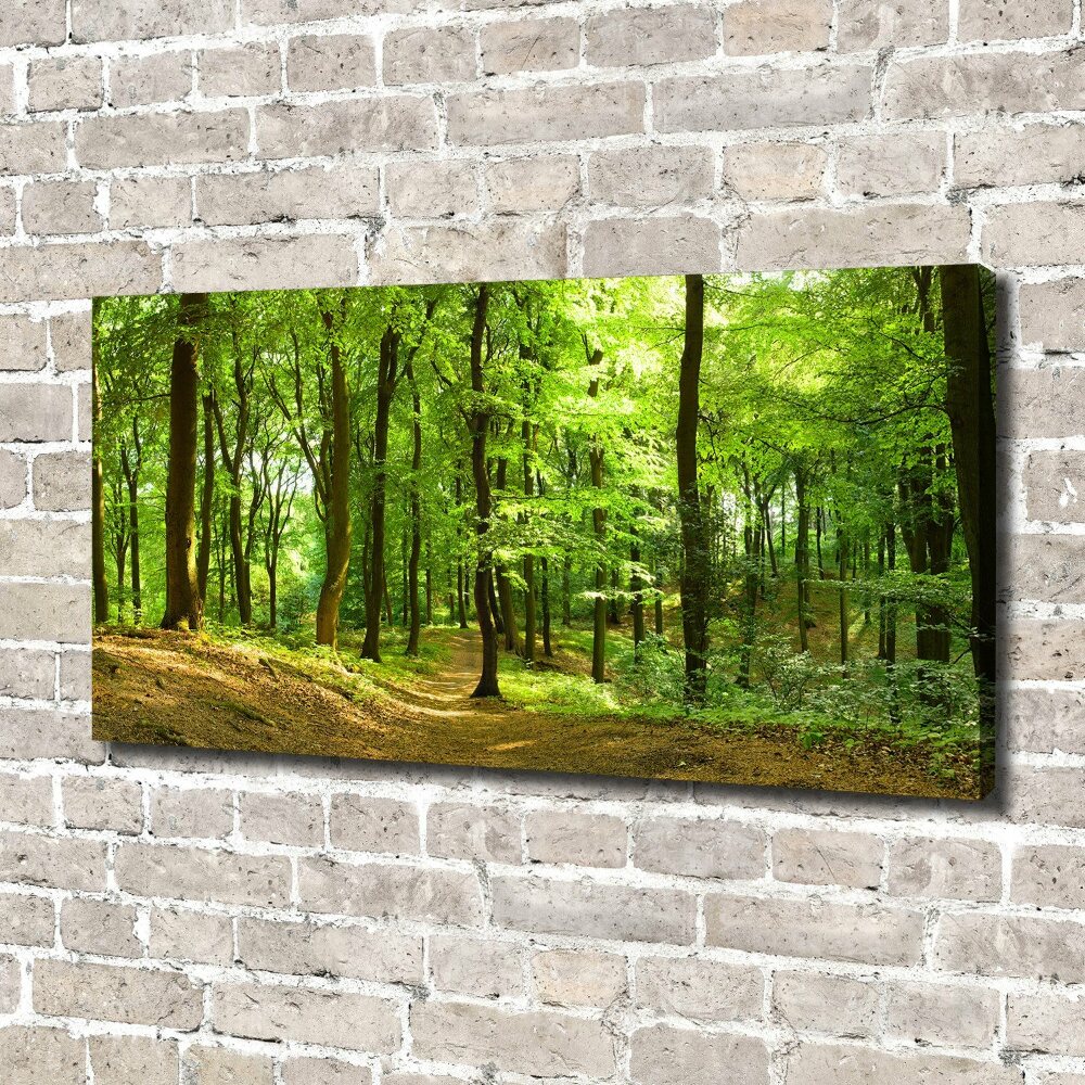 Tableau sur toile Sentier forestier