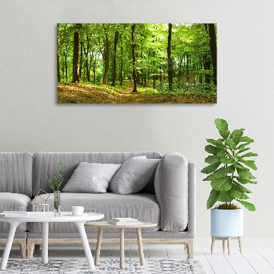 Tableau sur toile Sentier forestier