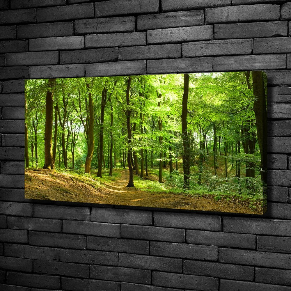 Tableau sur toile Sentier forestier