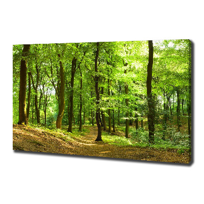 Tableau sur toile Sentier forestier