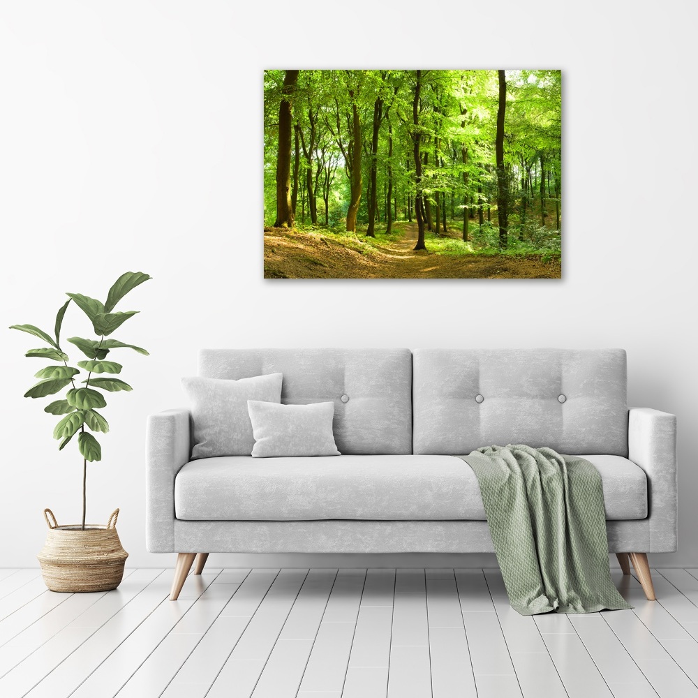 Tableau sur toile Sentier forestier