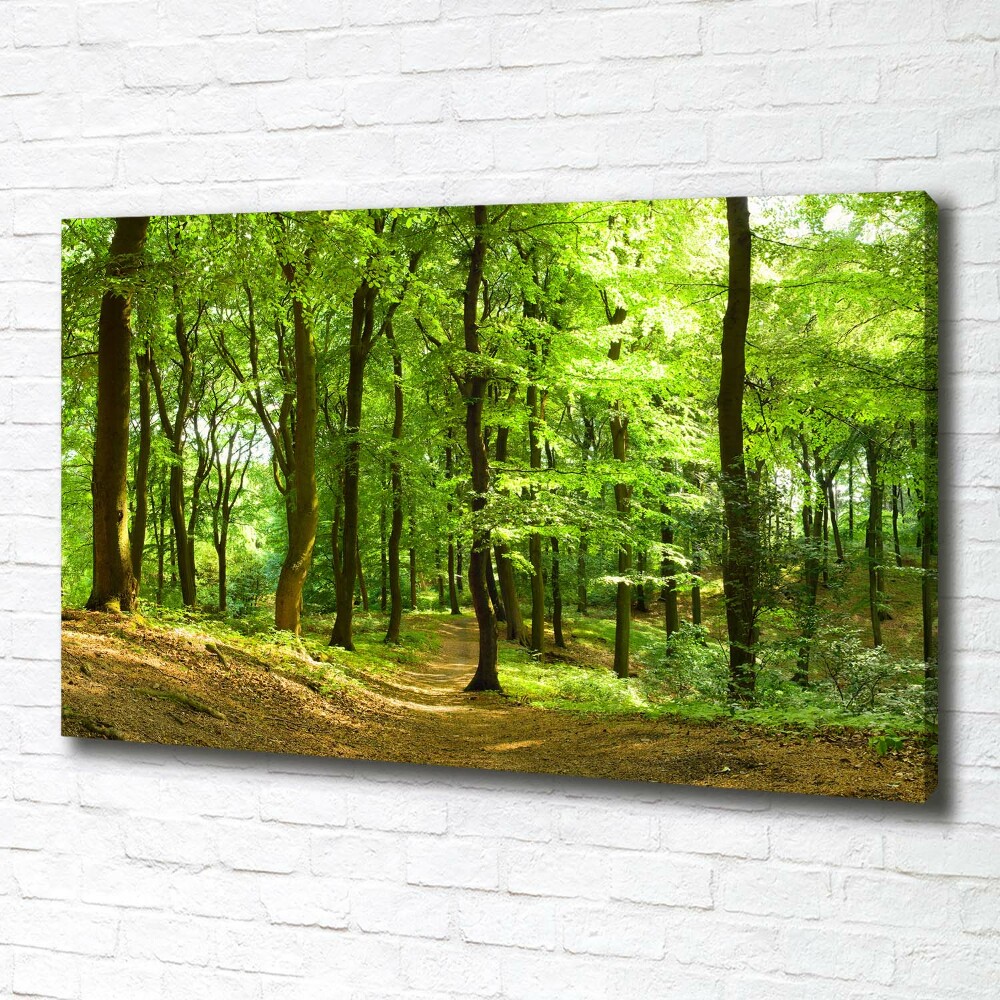 Tableau sur toile Sentier forestier