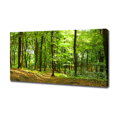 Tableau sur toile Sentier forestier