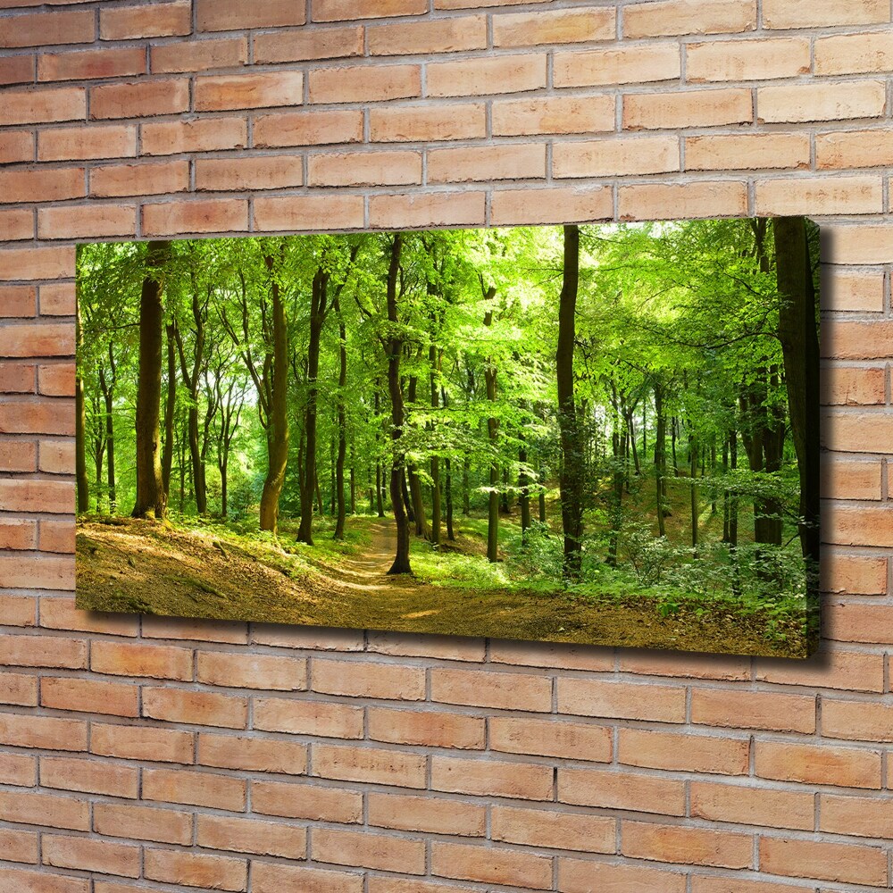 Tableau sur toile Sentier forestier