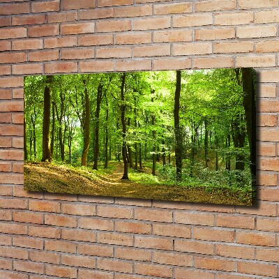 Tableau sur toile Sentier forestier