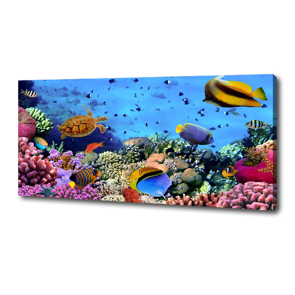 Tableau sur toile Récif corallien