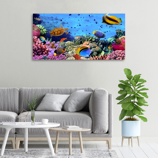 Tableau sur toile Récif corallien