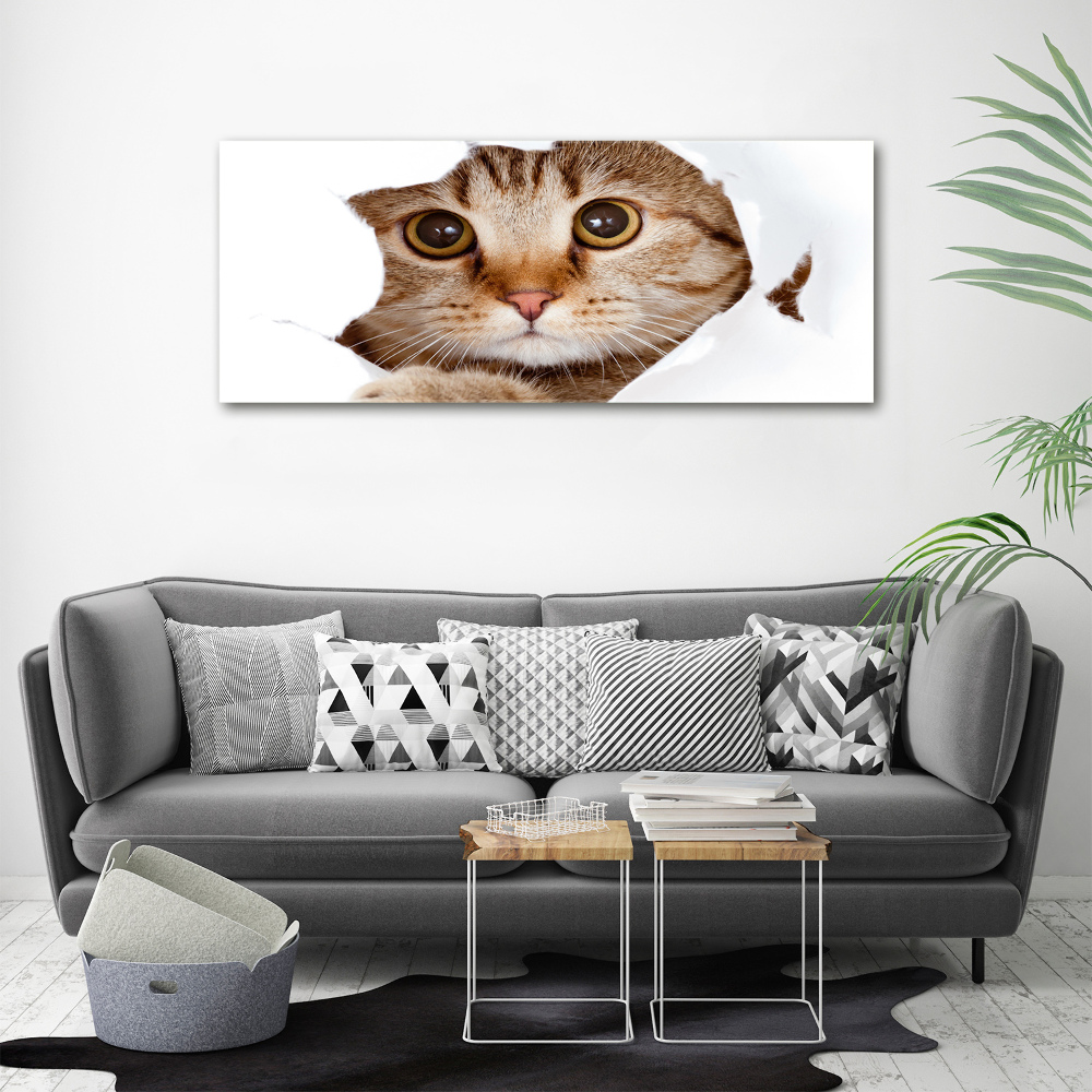 Tableau sur toile Chat