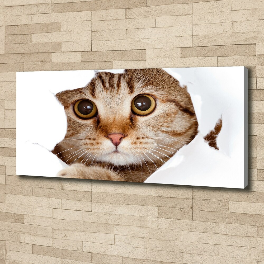 Tableau sur toile Chat