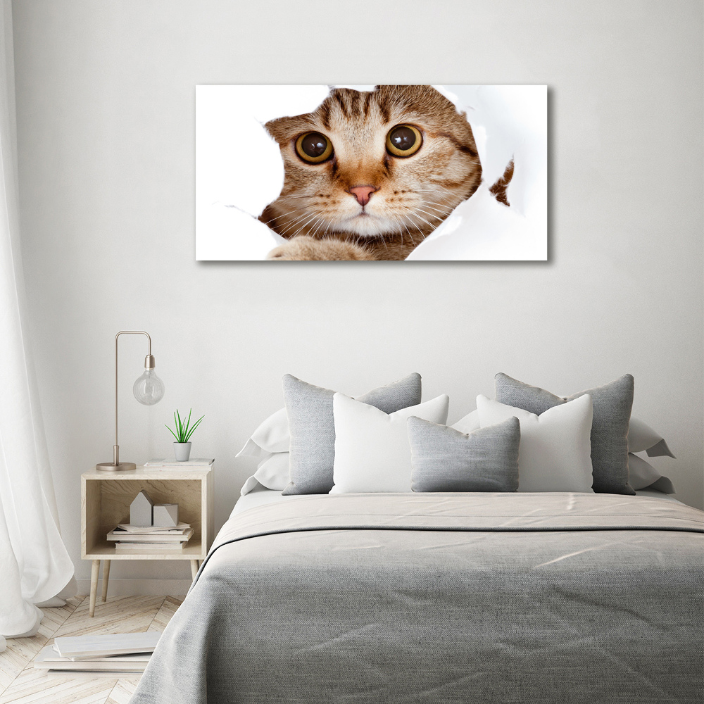 Tableau sur toile Chat