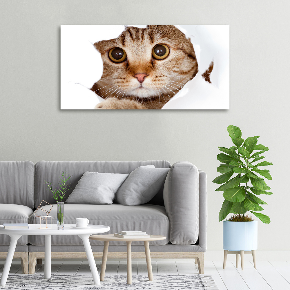 Tableau sur toile Chat