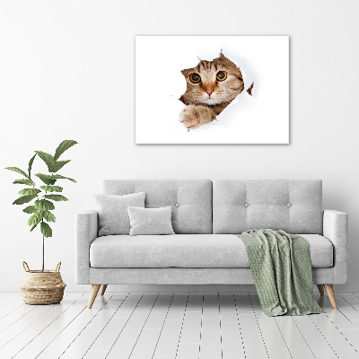 Tableau sur toile Chat