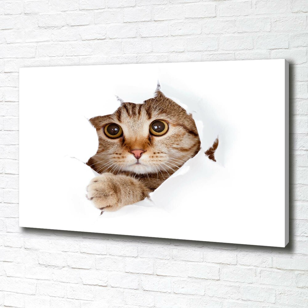 Tableau sur toile Chat