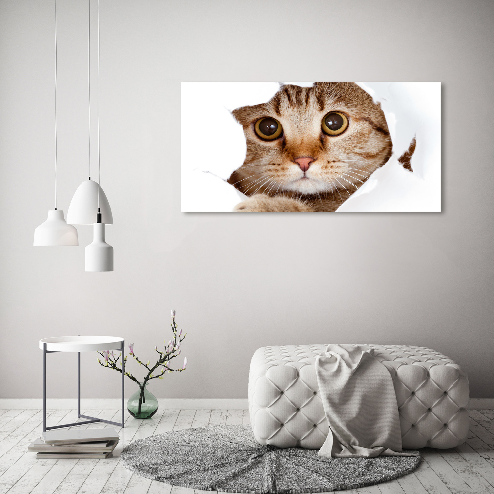 Tableau sur toile Chat