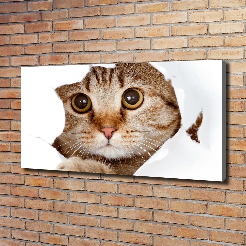 Tableau sur toile Chat