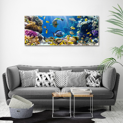 Tableau imprimé sur toile Récif de corail