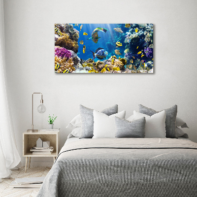 Tableau imprimé sur toile Récif de corail