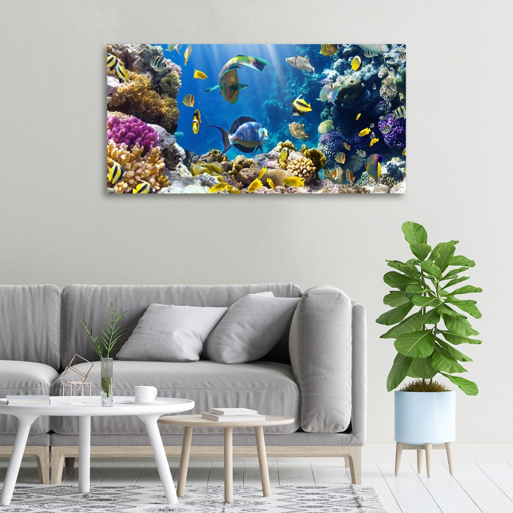 Tableau imprimé sur toile Récif de corail