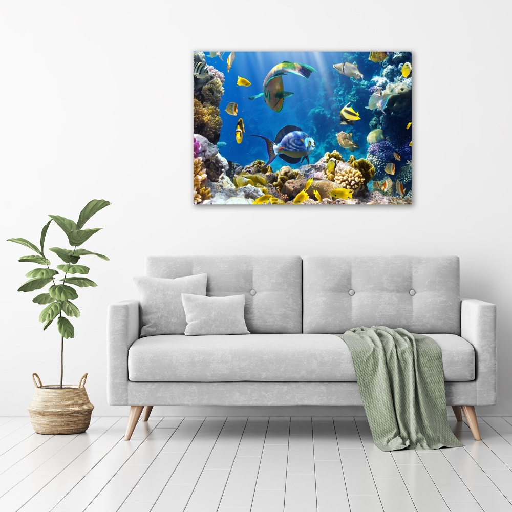 Tableau imprimé sur toile Récif de corail