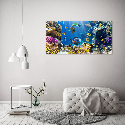 Tableau imprimé sur toile Récif de corail