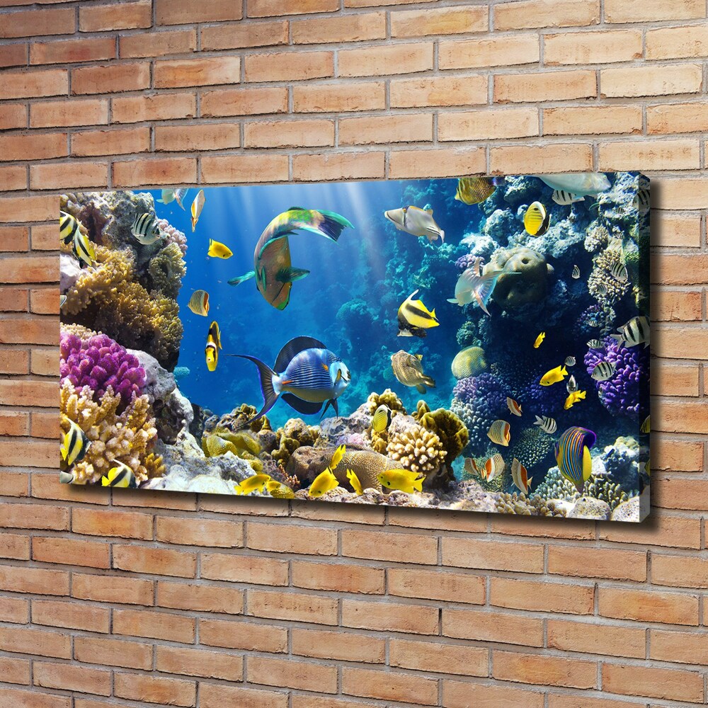 Tableau imprimé sur toile Récif de corail