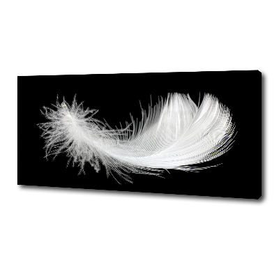 Tableau toile imprimée Plume