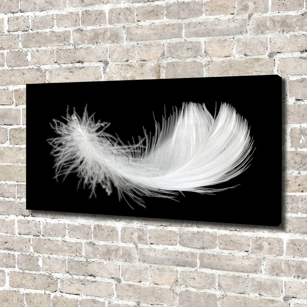 Tableau toile imprimée Plume