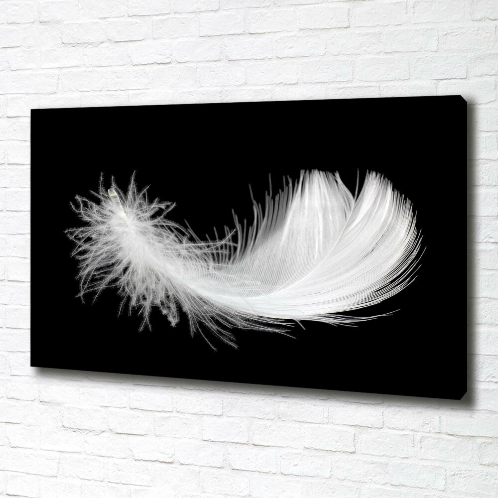 Tableau toile imprimée Plume