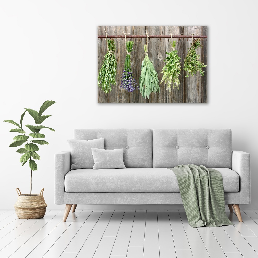 Tableau imprimé sur toile Herbes sur une ficelle