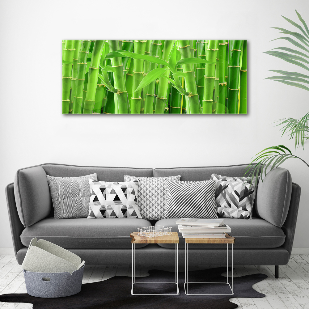 Tableau photo sur toile Bambou