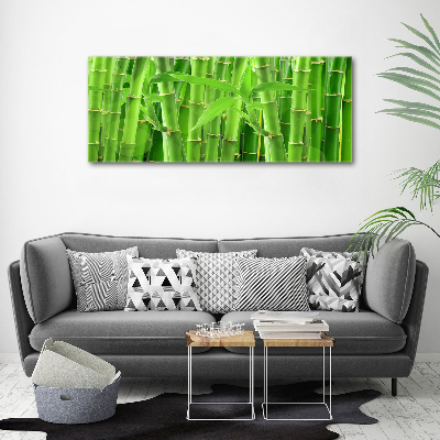 Tableau photo sur toile Bambou