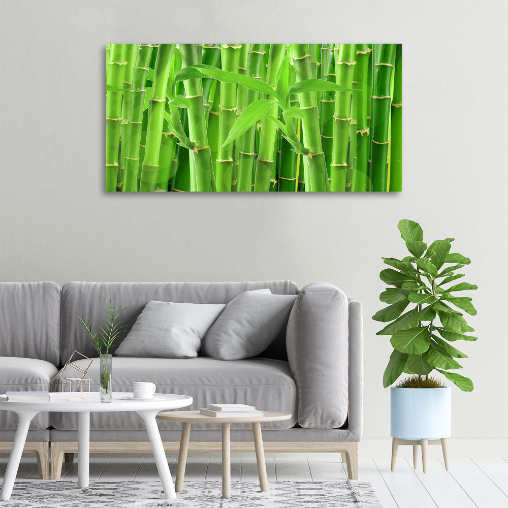 Tableau photo sur toile Bambou