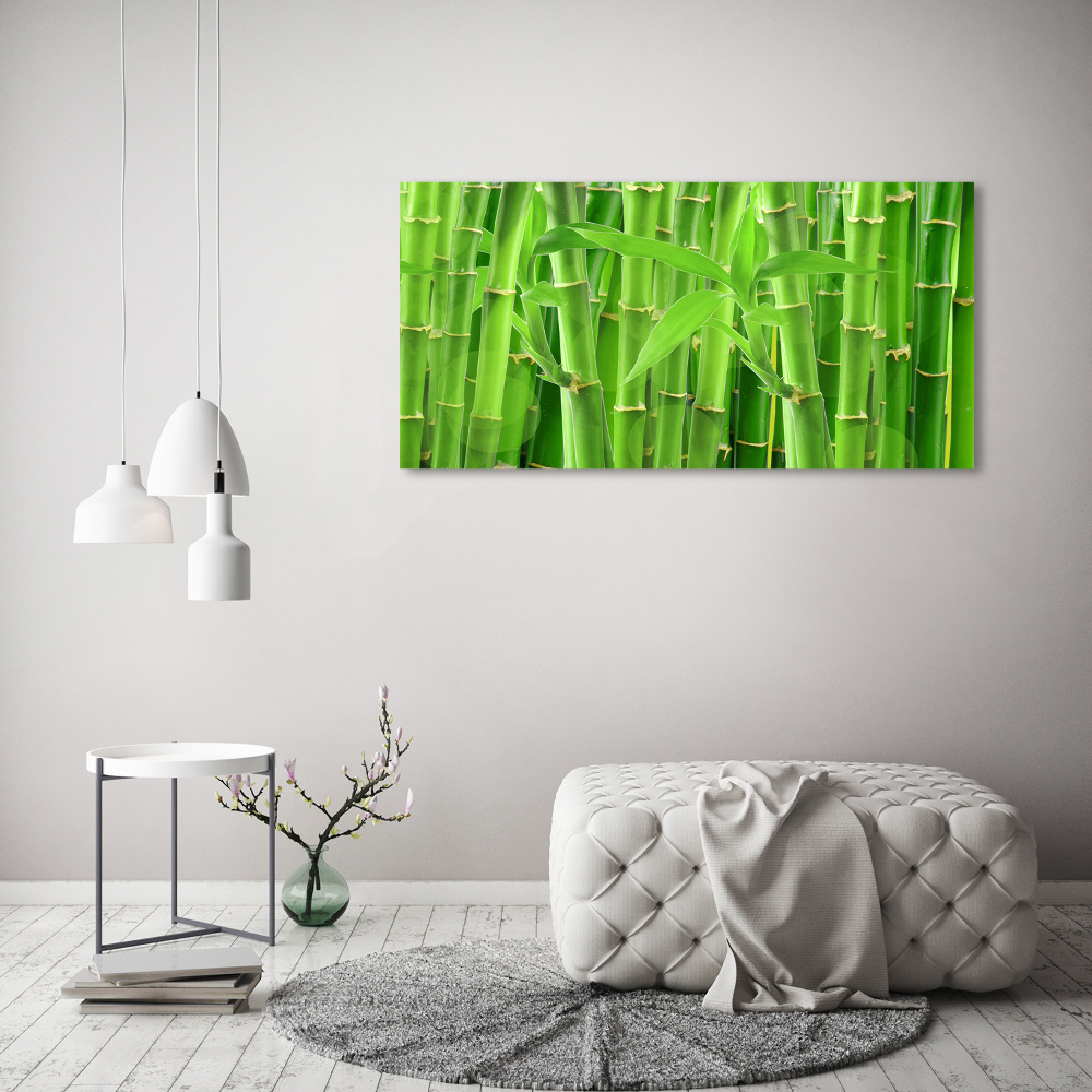 Tableau photo sur toile Bambou