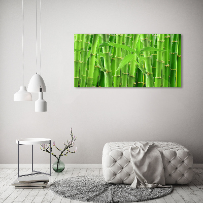 Tableau photo sur toile Bambou