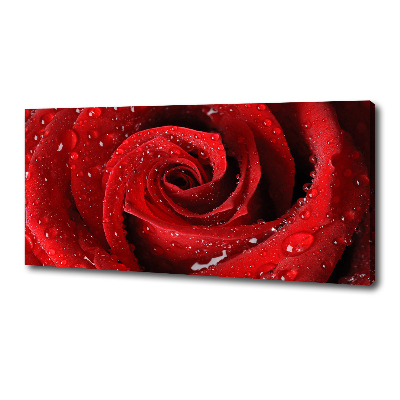 Tableau sur toile Gouttes sur une rose