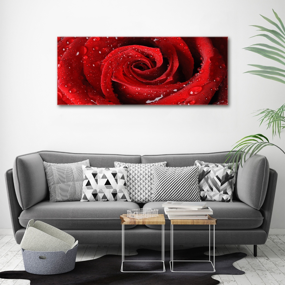 Tableau sur toile Gouttes sur une rose