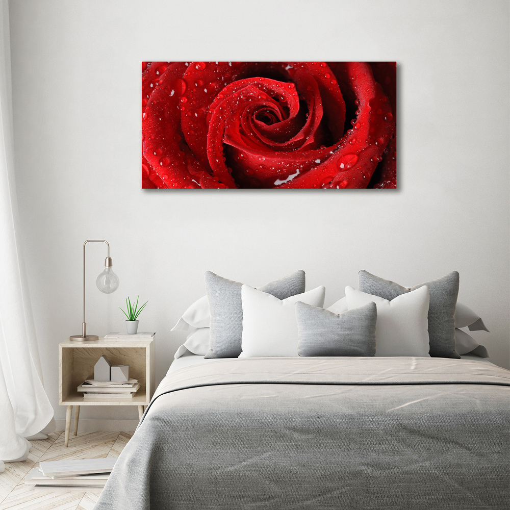 Tableau sur toile Gouttes sur une rose