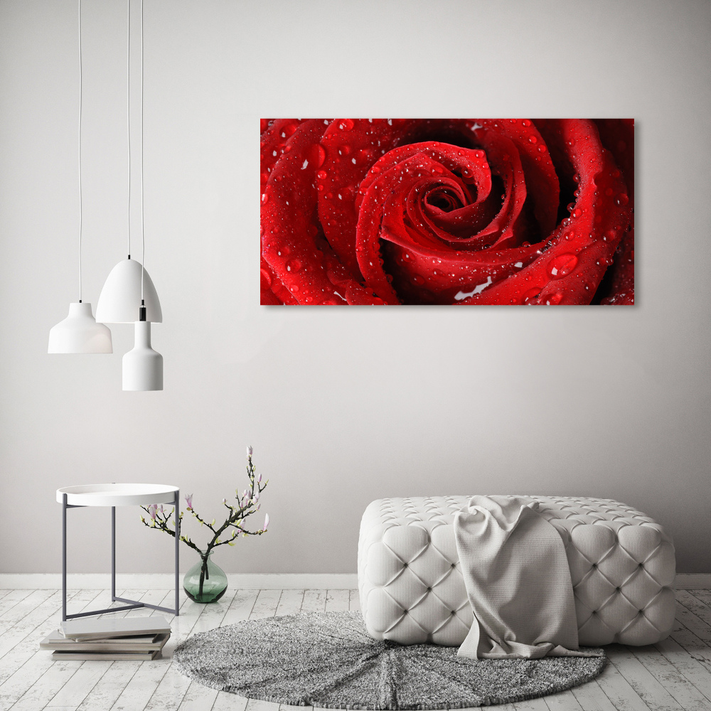 Tableau sur toile Gouttes sur une rose