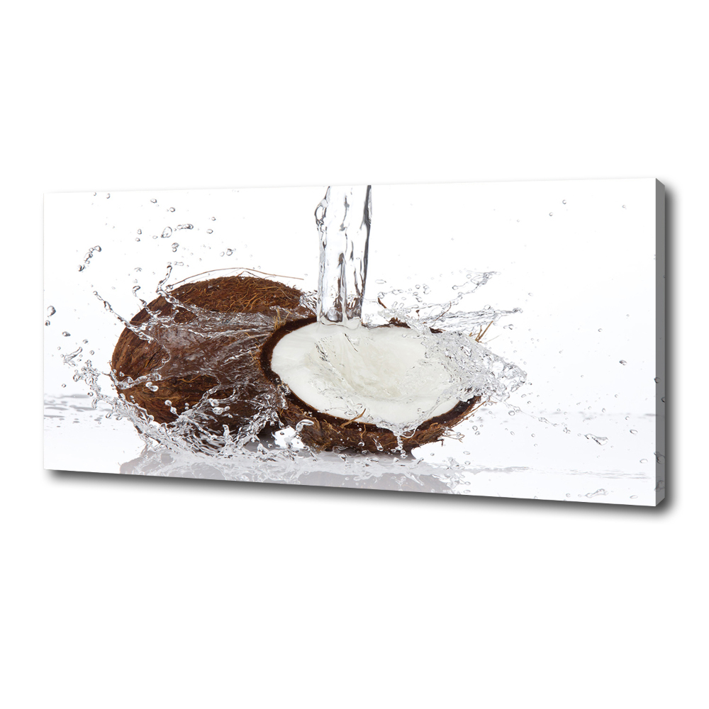 Tableau sur toile Noix de coco