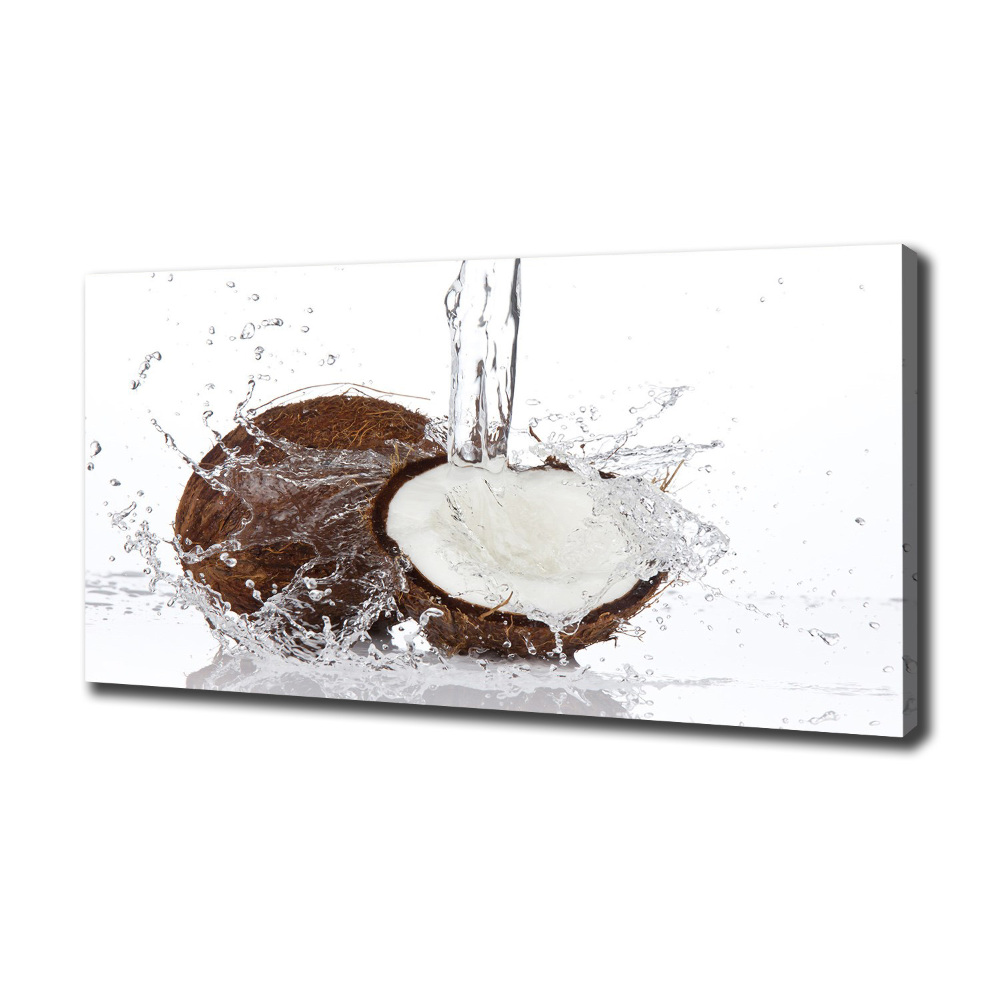 Tableau sur toile Noix de coco