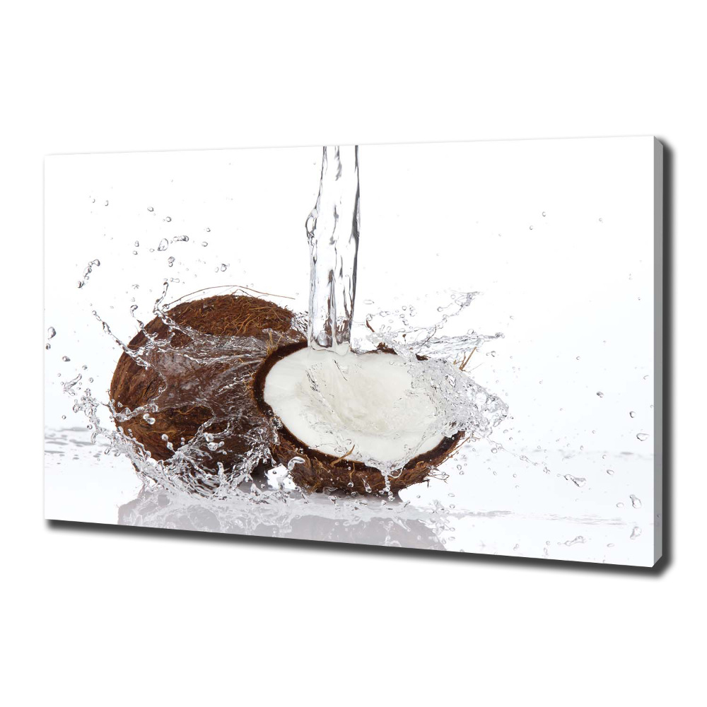 Tableau sur toile Noix de coco